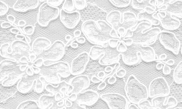 Name: light-white-flower-lace-texture_lace.png