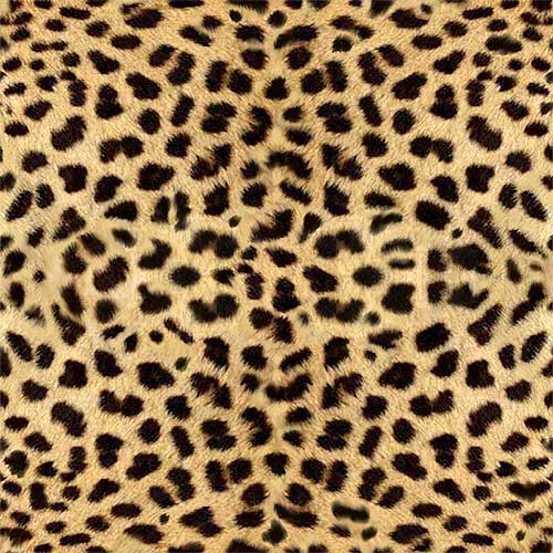 Name: animal-fur-skin_cheetha 