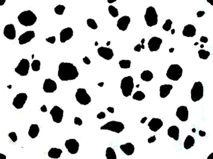Name: black-white-animal-skin_dalmatin.png