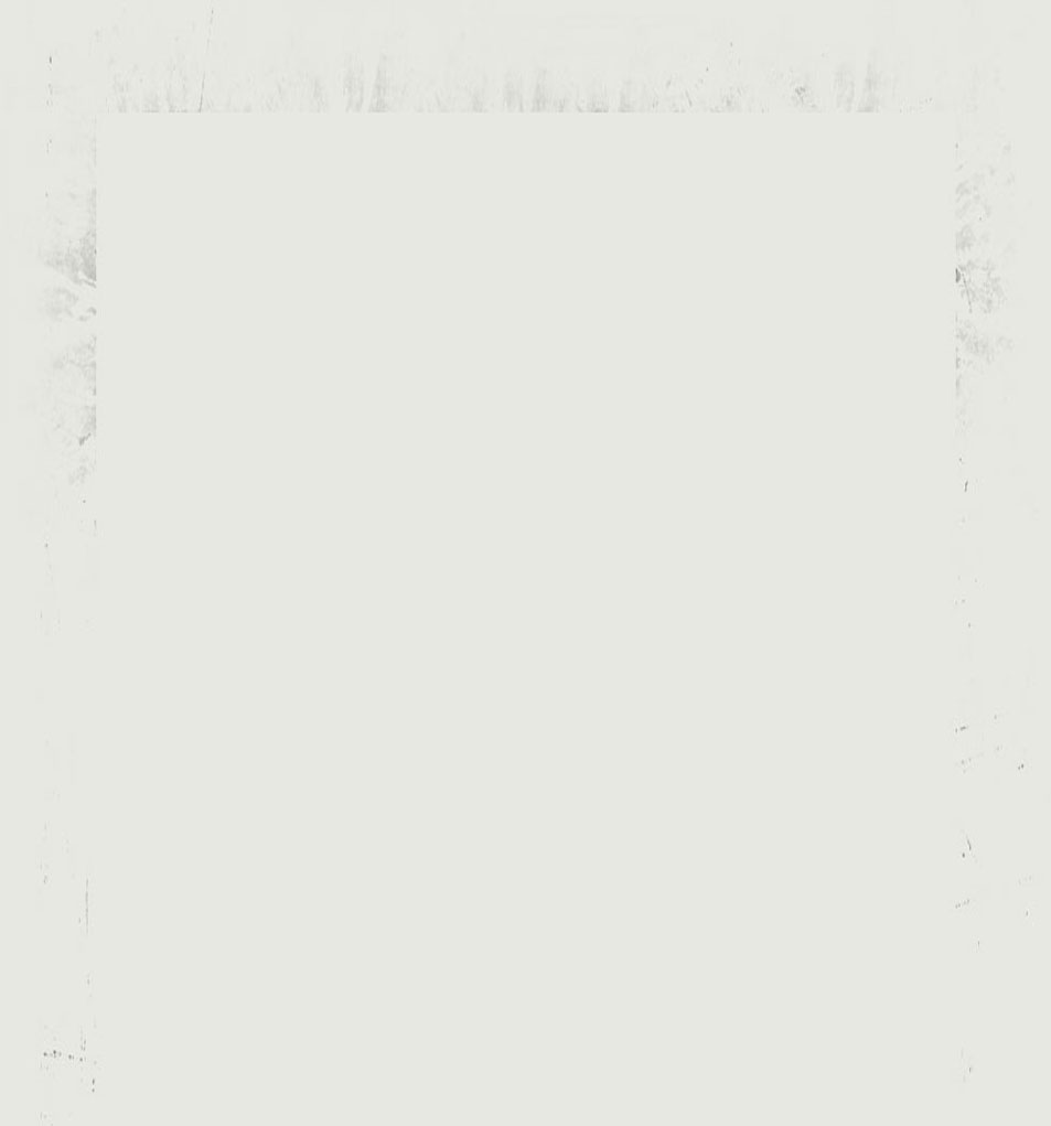 Name: light-grey-grunge_n_e7e8e2_center_top_fix_780_dirt 