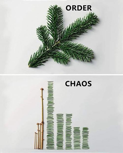 Chaos vs Order