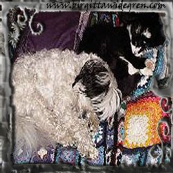 erik o morris   o  smokie sover