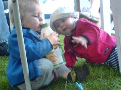  -  - midsommar_9631.jpg