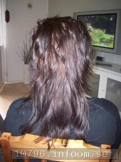 Frebild
