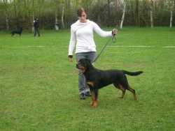 BUFFA & TESSAN ( PAROS KENNEL)