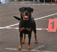 PAROS HEXA-HEKATE CK CACIB BIM 
MALM INT 2011