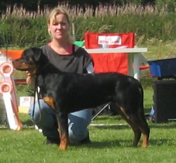 www.tingsrydsbrukshundklubb.se/.../bis_valp_6_9_2009.htm