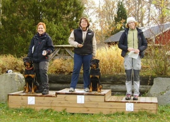 Lite felrkning p sekr gjorde att vi hamnade p 2:a plats p tvlingsdagen. Men vi fick vrt GULD p posten till slut :-))