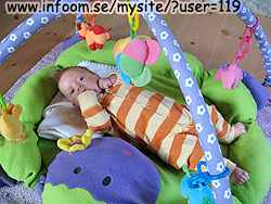 Name: babygym.jpg  Width: 250px  Height: 188px