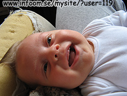 Name: smilfink.jpg  Width: 250px  Height: 188px