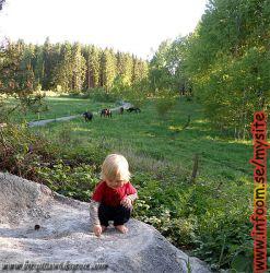Name: 1244195975.jpg  Width: 247px  Height: 250px