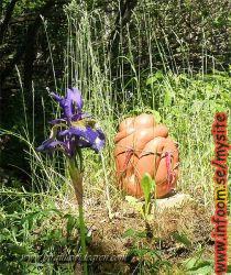 Name: 1246082528.jpg  Width: 210px  Height: 250px