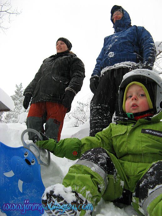 Name: snowfall.jpg  Width: 518px  Height: 691px