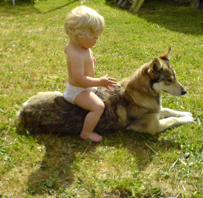 Name: 20080618234442_pojke_hund.jpg  Width: 400px  Height: 390px
