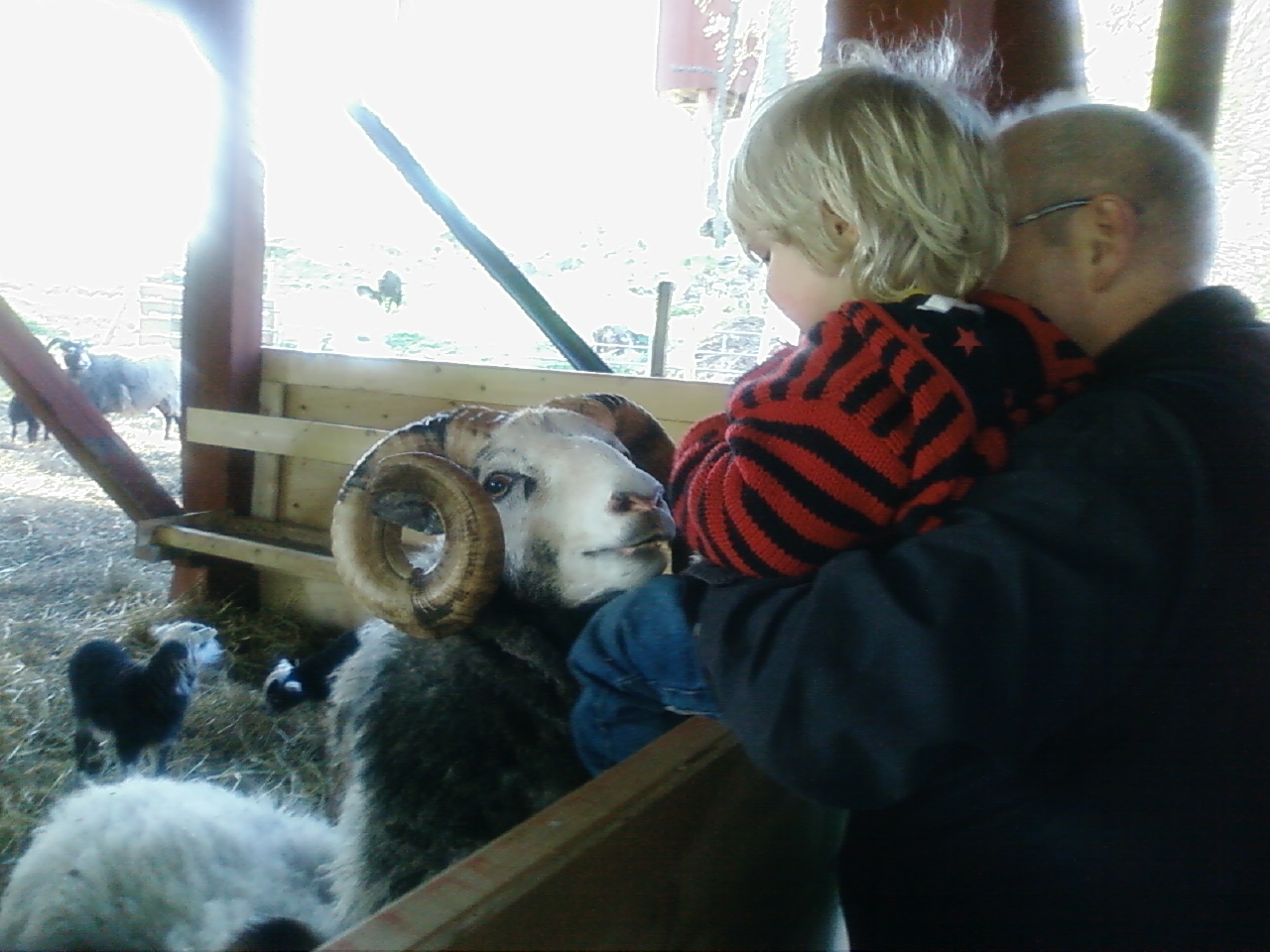 Name: 20090510200937_Foto0252.jpg  Width: 1280px  Height: 960px