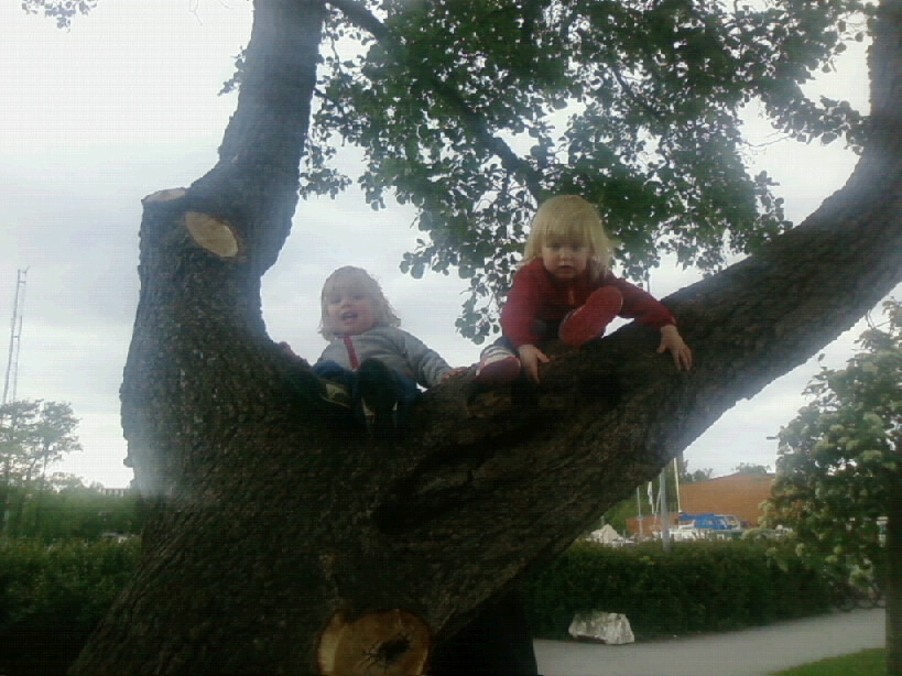 Name: 20090605185814_Foto0282.jpg  Width: 819px  Height: 614px