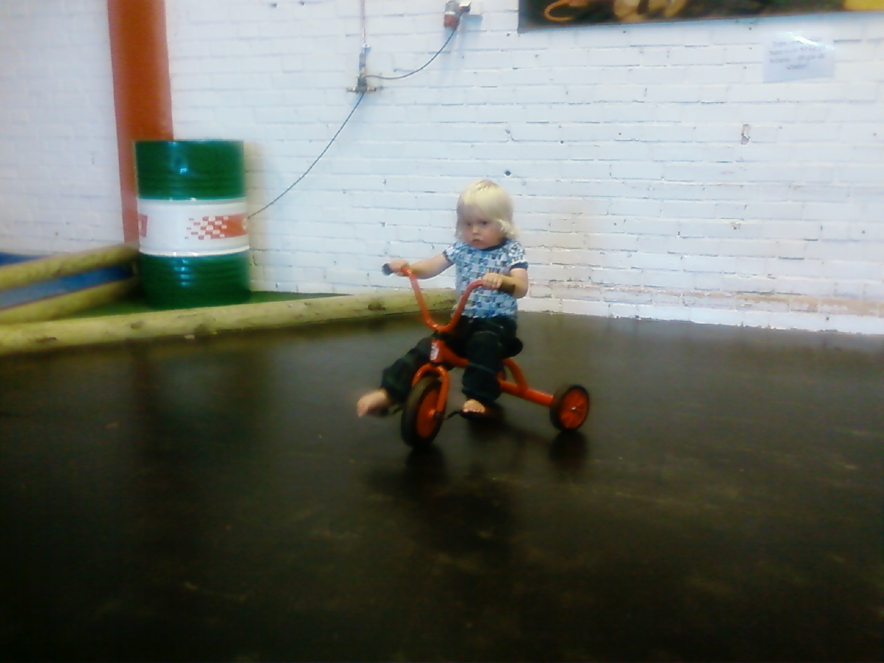 Name: 20090731105414_Foto0386.jpg  Width: 1280px  Height: 960px