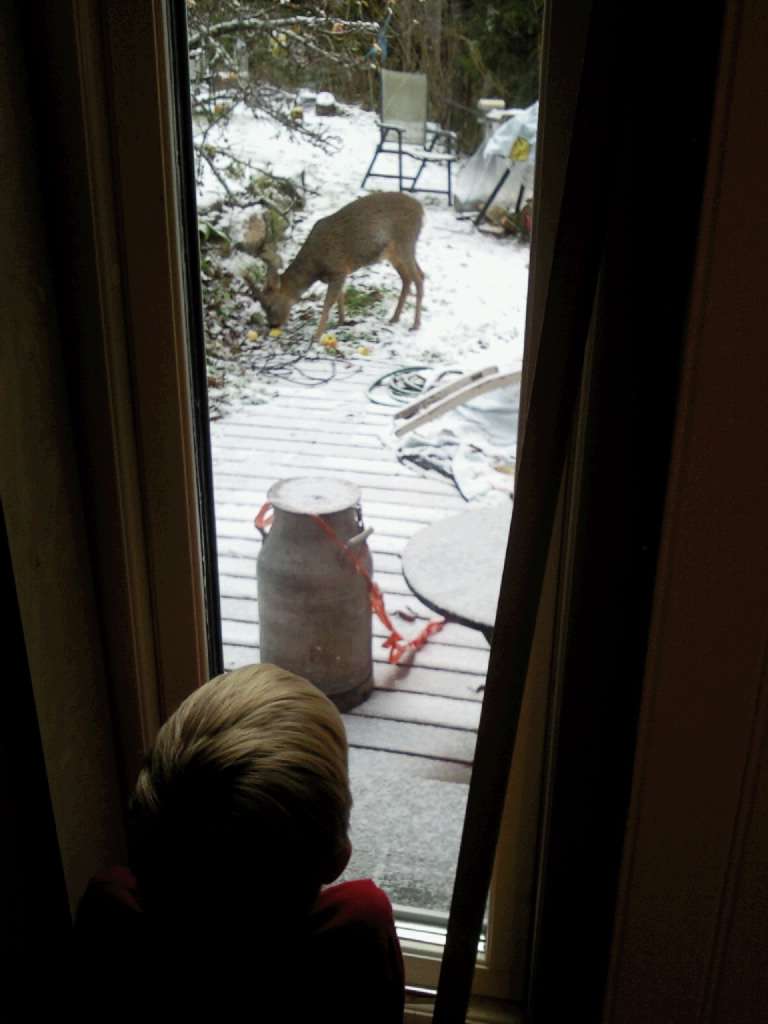 Name: 20101119085612_Foto0424.jpg  Width: 768px  Height: 1024px