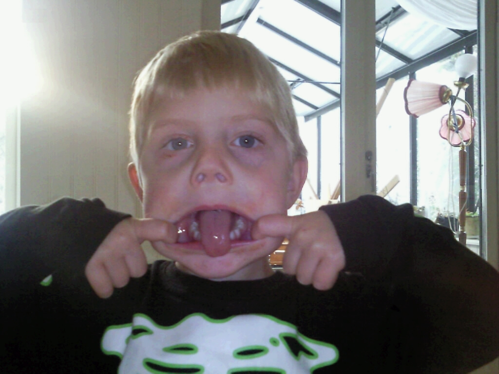 Name: 20101126110259_Foto0432.jpg  Width: 1024px  Height: 768px