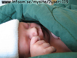 Name: IMG_0149.jpg  Width: 250px  Height: 188px