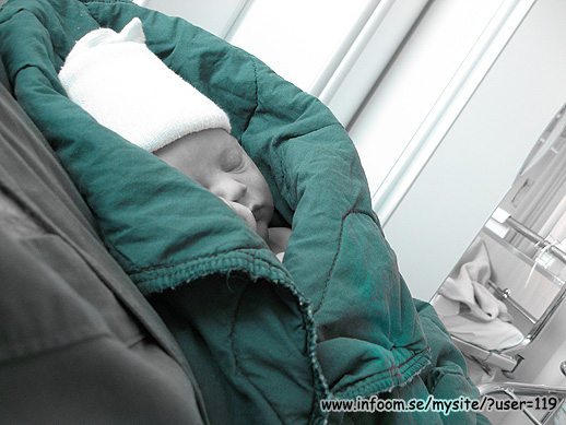 Name: IMG_0156.jpg  Width: 518px  Height: 389px
