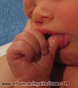 Name: IMG_0207.jpg  Width: 250px  Height: 284px
