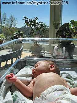 Name: IMG_0212.jpg  Width: 250px  Height: 333px