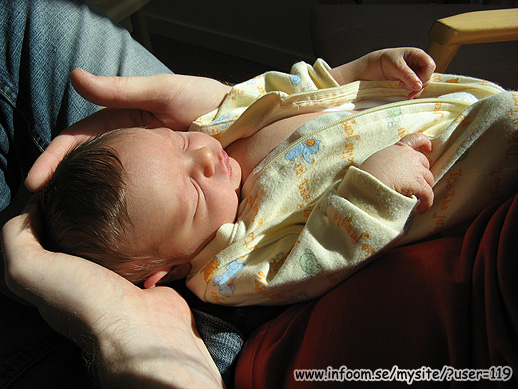 Name: IMG_0234.jpg  Width: 518px  Height: 389px