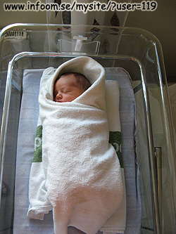Name: IMG_0261.jpg  Width: 250px  Height: 333px