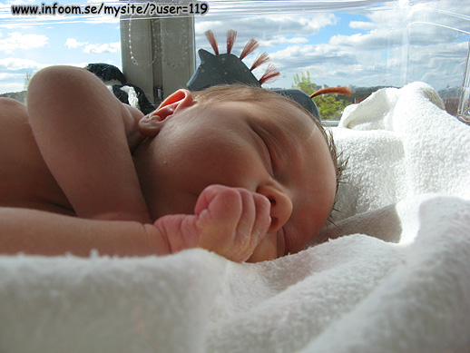 Name: IMG_0276.jpg  Width: 518px  Height: 389px