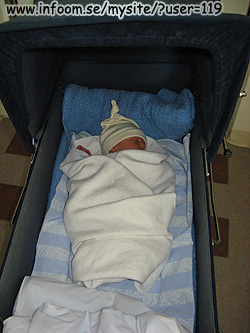 Name: IMG_0283.jpg  Width: 250px  Height: 333px