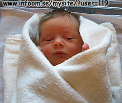 Name: IMG_0319.jpg  Width: 250px  Height: 210px
