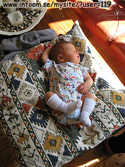 Name: IMG_0353.jpg  Width: 250px  Height: 333px