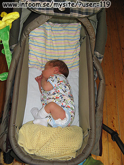 Name: IMG_0359.jpg  Width: 250px  Height: 333px