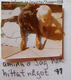 Name: amira_doberman.jpg Width: 250px Height: 280px