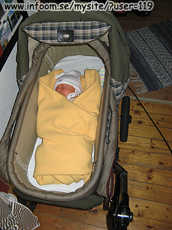 Name: bebis_knyte.jpg  Width: 250px  Height: 333px