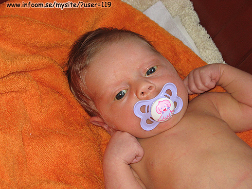 Name: napp.jpg  Width: 518px  Height: 389px