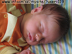 Name: sova.jpg  Width: 250px  Height: 188px