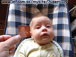 Name: spanainfarshan.gif  Width: 250px  Height: 188px