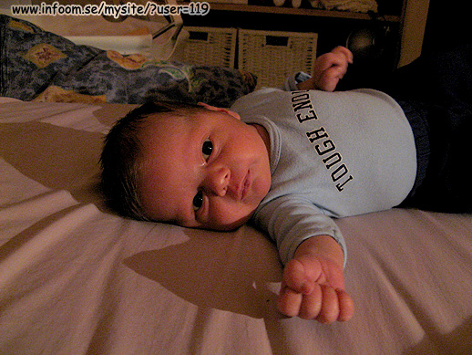 Name: tuffing.jpg  Width: 518px  Height: 389px