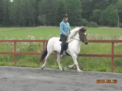 Vivi och Frostros