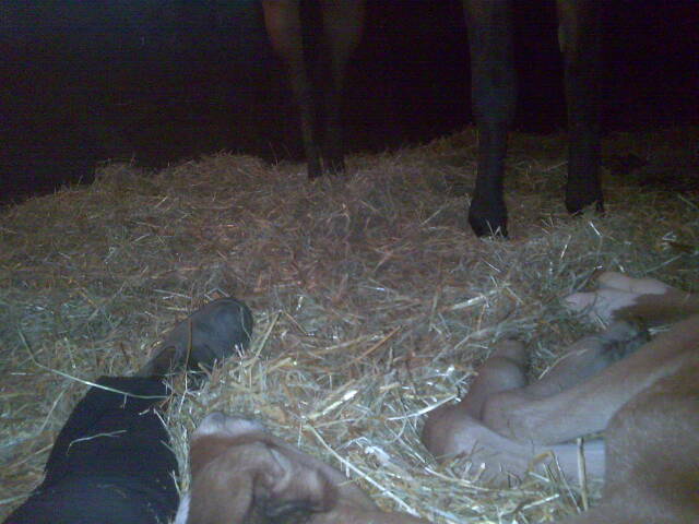 Name: 1211618727000_Bild122.jpg  Width: 640px  Height: 480px