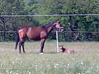 Name: 1211724456000_Bild124.jpg  Width: 320px  Height: 240px