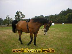 Name: 1218832906.jpg  Width: 250px  Height: 188px