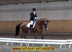 Name: 1221718270.jpg  Width: 250px  Height: 183px