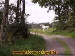 Name: 1227128920.jpg  Width: 250px  Height: 188px