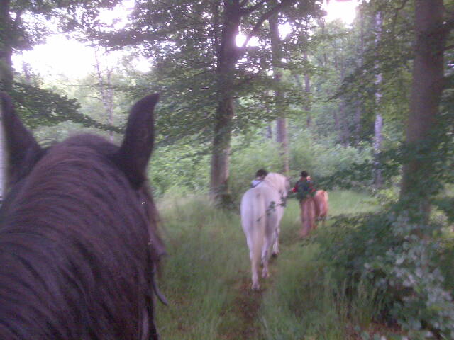 Name: 20080628220213_Bild206.jpg  Width: 640px  Height: 480px