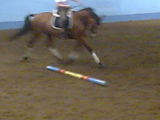 Name: 20080810235654_Bild011.jpg  Width: 320px  Height: 240px