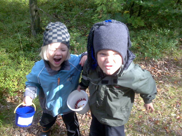 Name: 20081110170743_Bild005.jpg  Width: 640px  Height: 480px