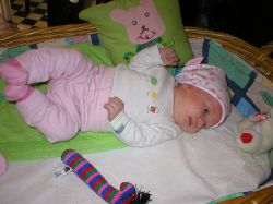 Name: 3veckor_1868.jpg  Width: 250px  Height: 187px